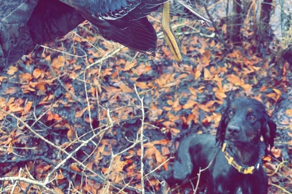 Photo of Outdoor in Donalsonville