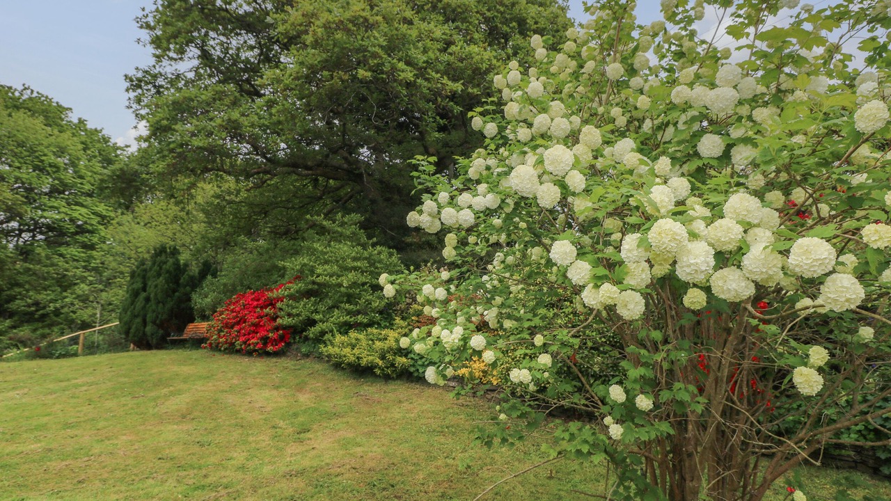 Photo of Others in Wiseman's Bridge