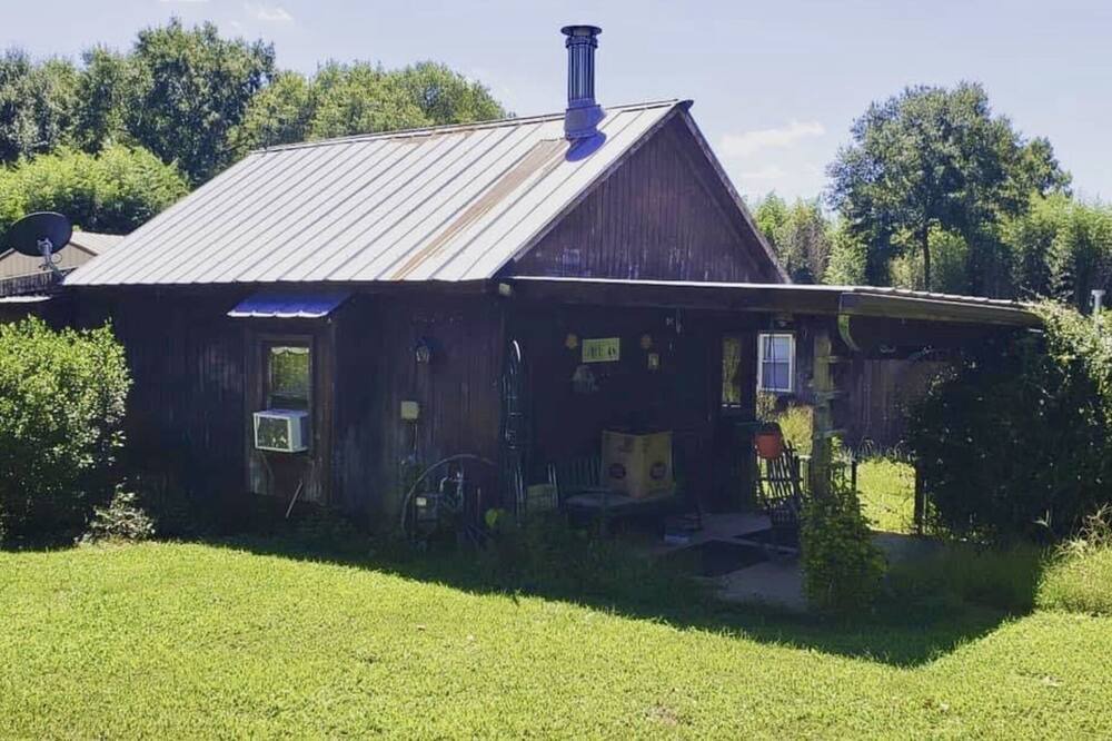 Photo of Outdoor in Pelzer