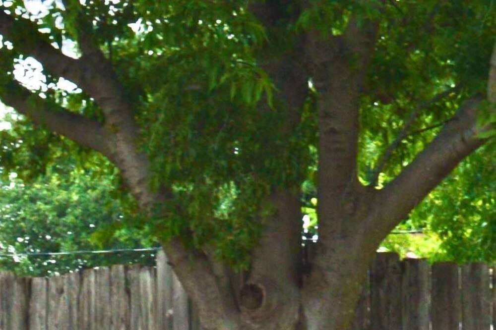 Photo of Outdoor in Abilene