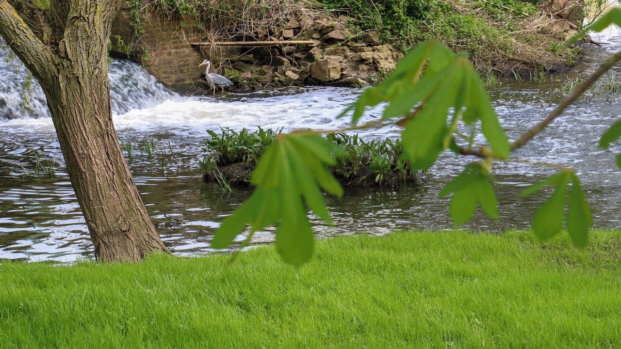 Photo of Others in Barrow Upon Soar