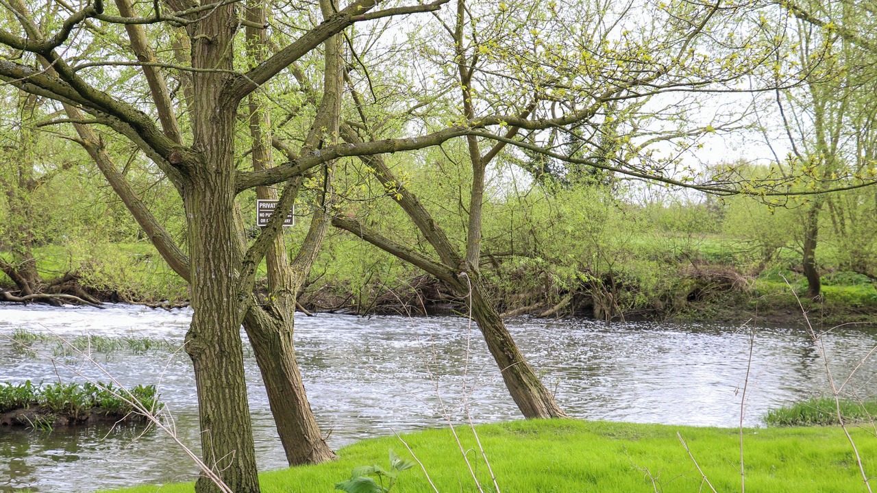 Photo of Others in Barrow Upon Soar
