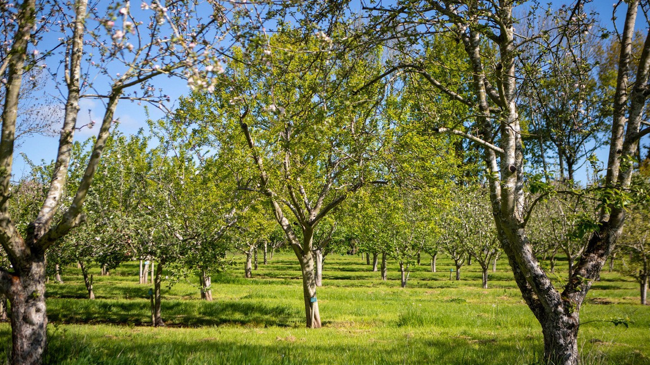 Photo of Others in Ledbury