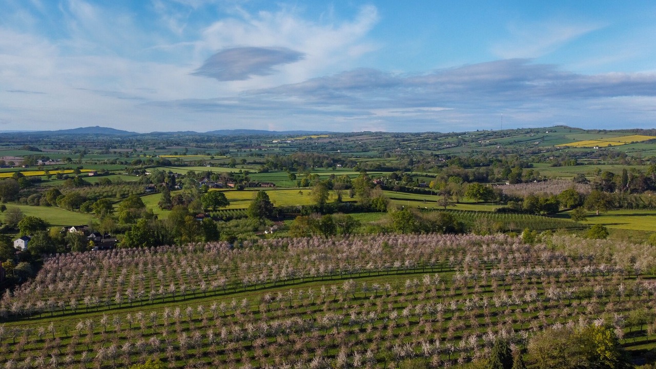 Photo of Others in Ledbury