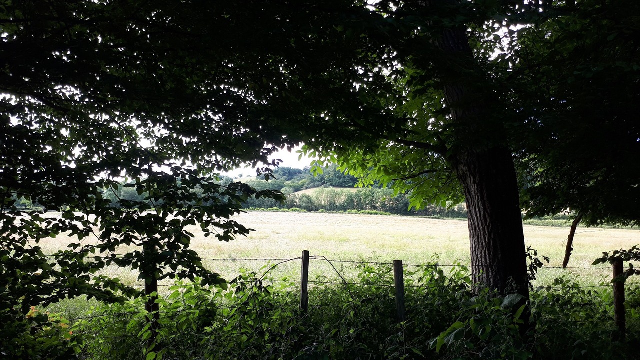 Photo of Outdoor in Perreux