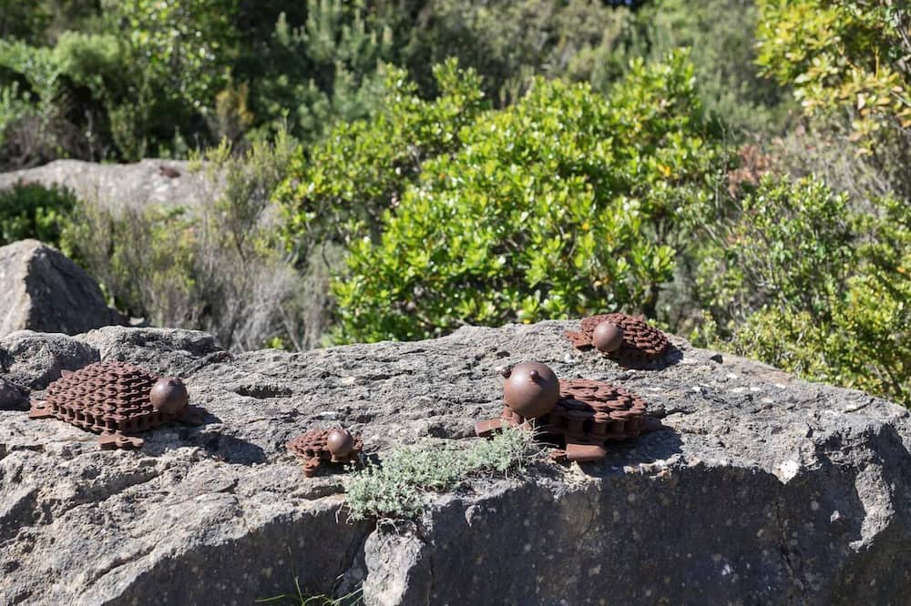 Photo of Outdoor in Douzens