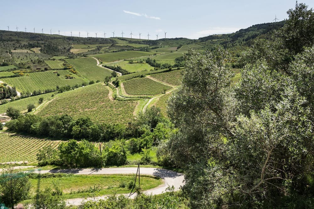 Photo of Outdoor in Douzens