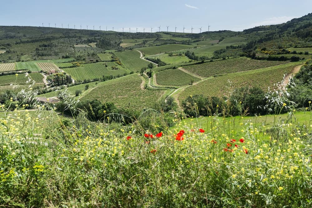 Photo of Others in Douzens