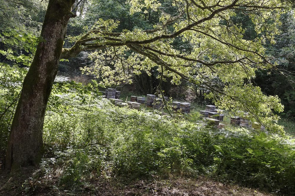 Photo of Outdoor in Douzens