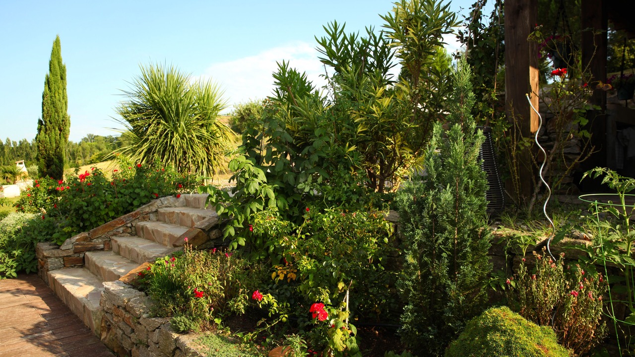 Photo of Outdoor in Vieille-Toulouse