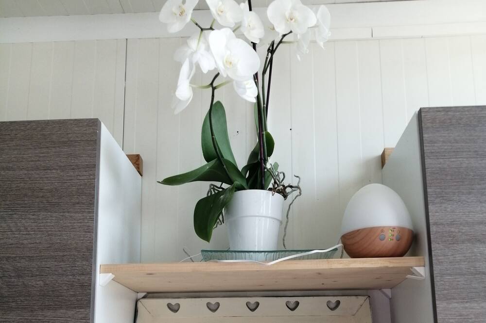 Photo of Kitchen in Camaret-sur-Aigues