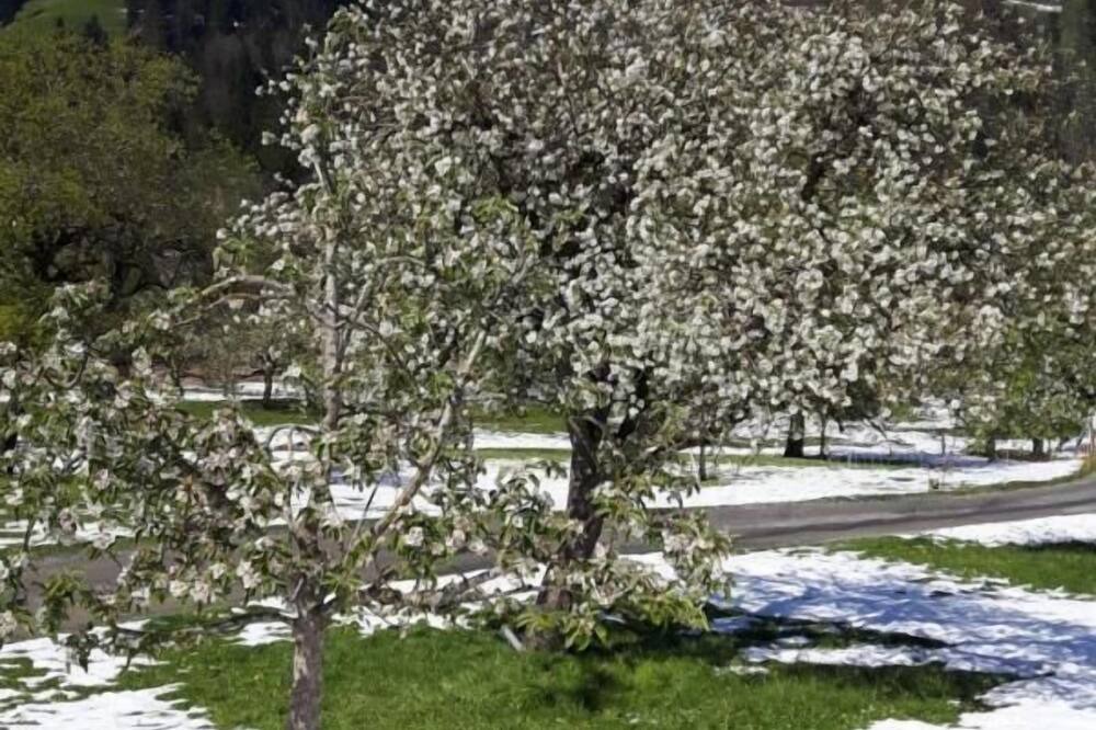 Photo of Outdoor in Oberhelfenschwil