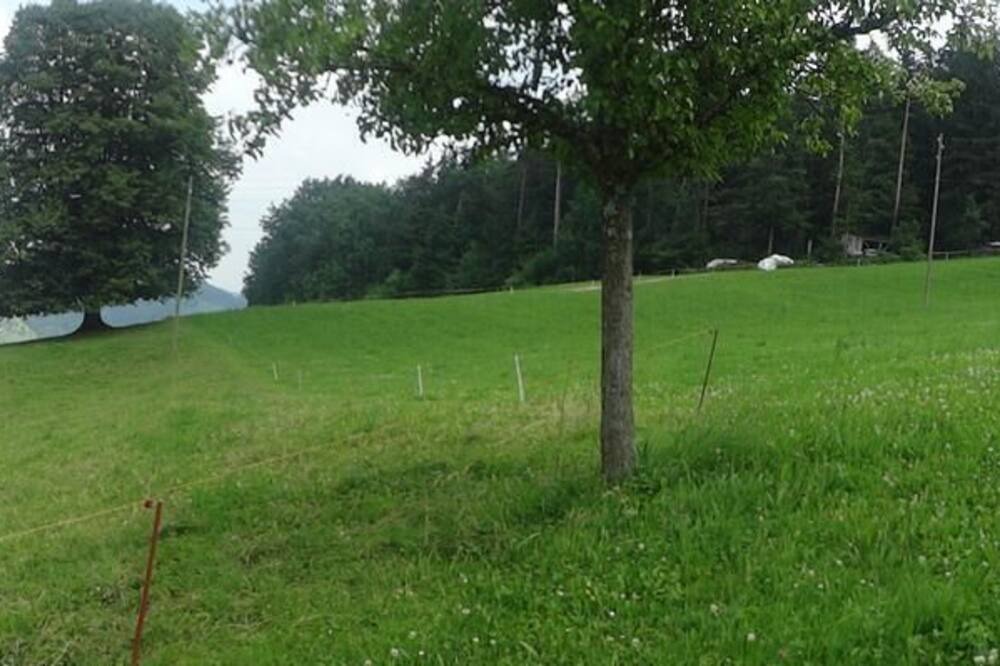 Photo of Others in Oberhelfenschwil