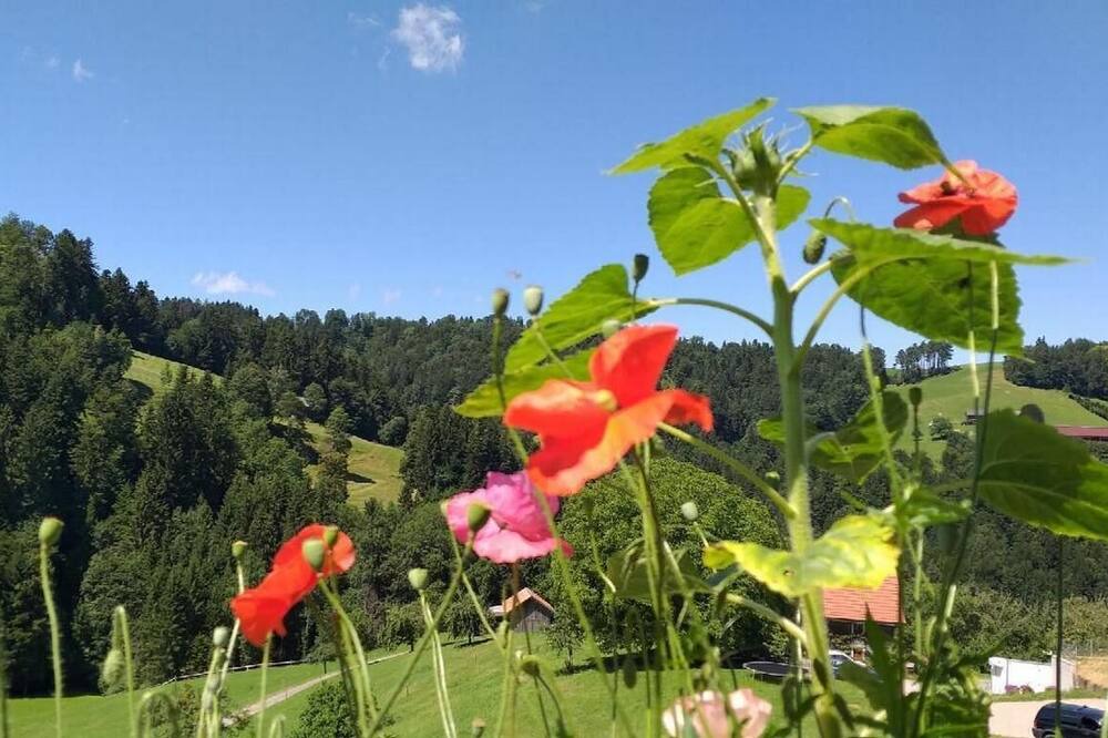 Photo of Outdoor in Oberhelfenschwil