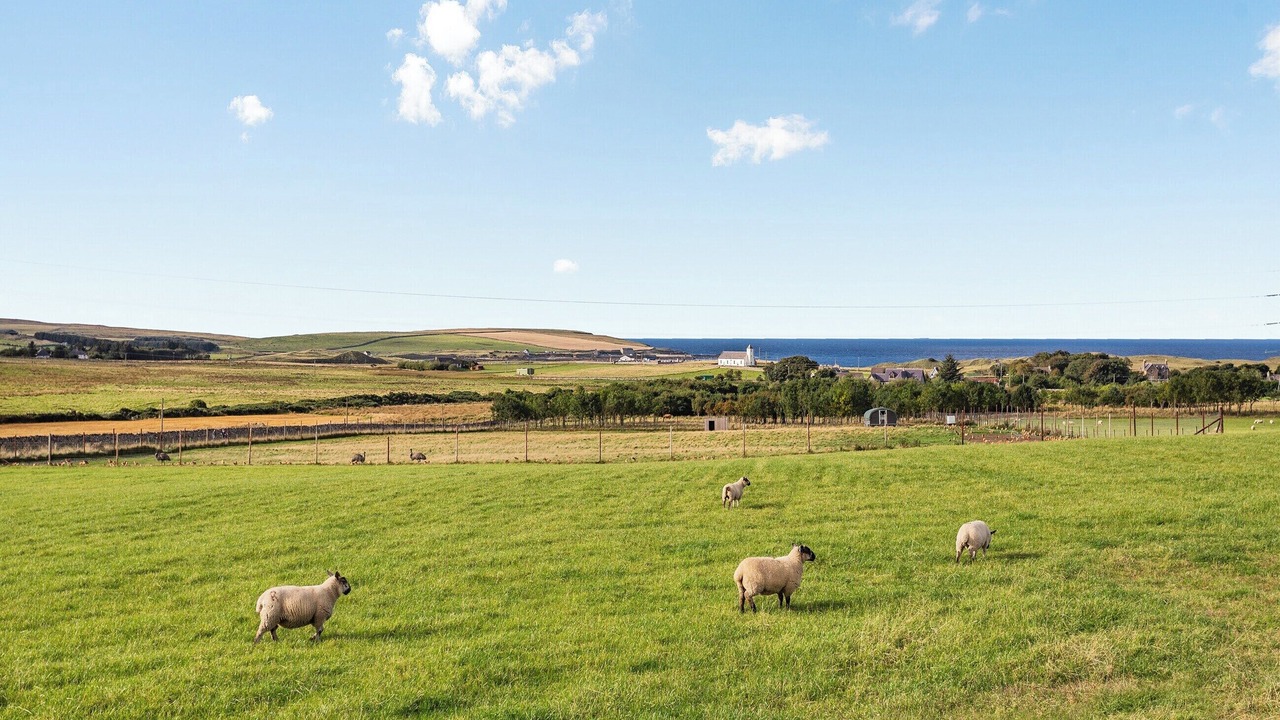 Photo of Others in Thurso