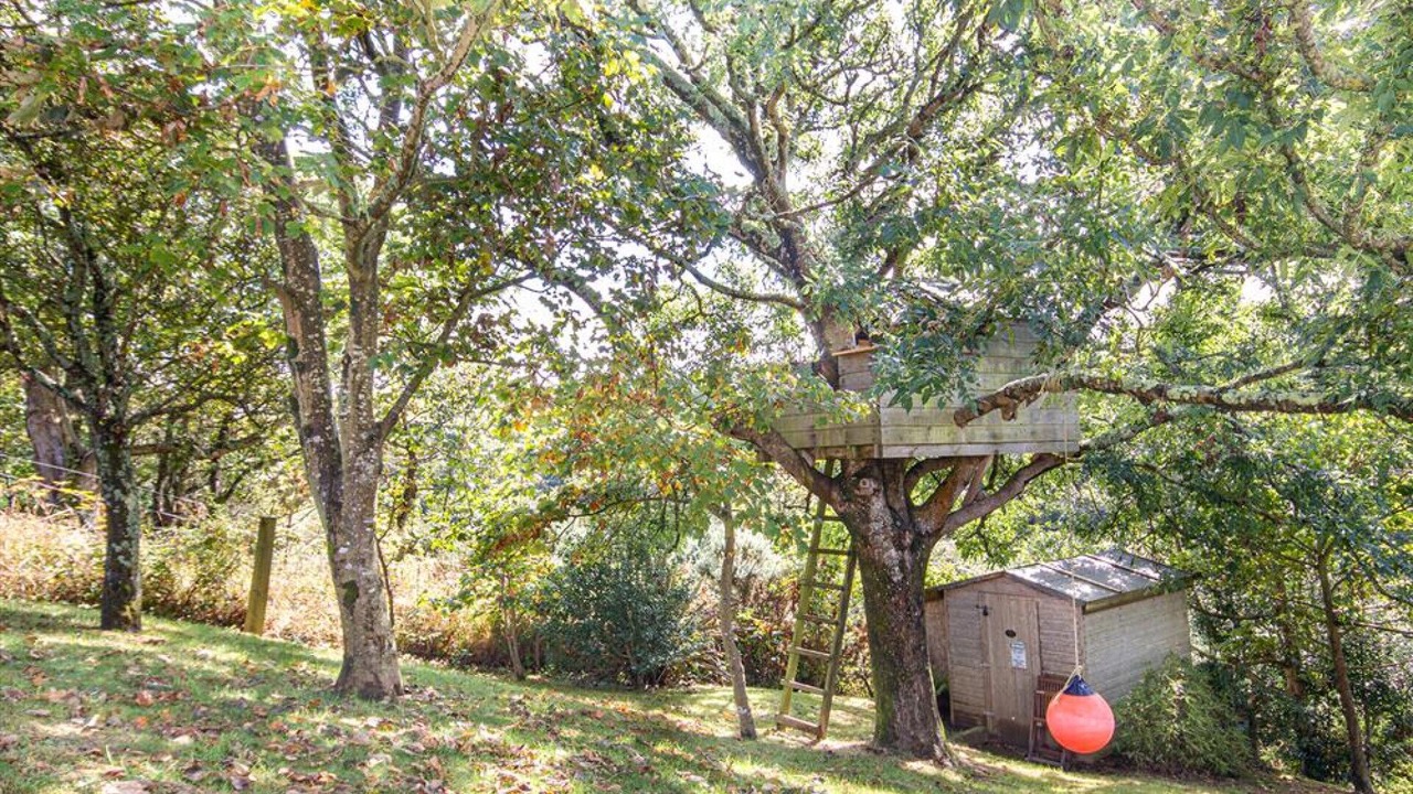 Photo of Outdoor in Crackington Haven