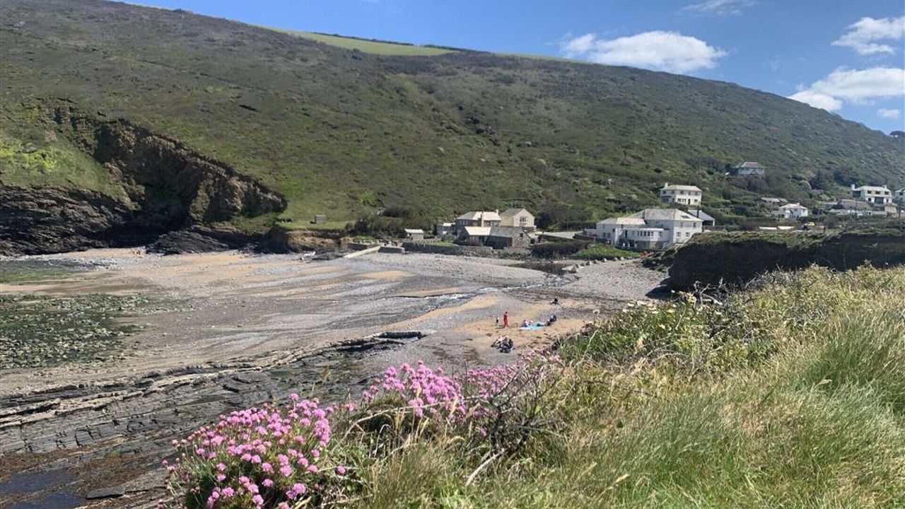 Photo of Others in Crackington Haven