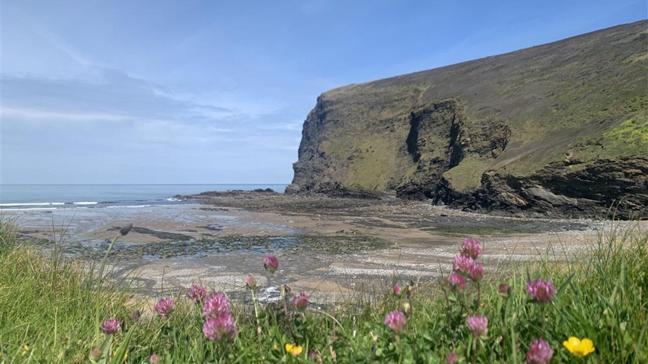 Photo of Others in Crackington Haven