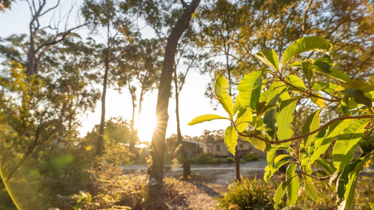 Photo of Outdoor in Myola