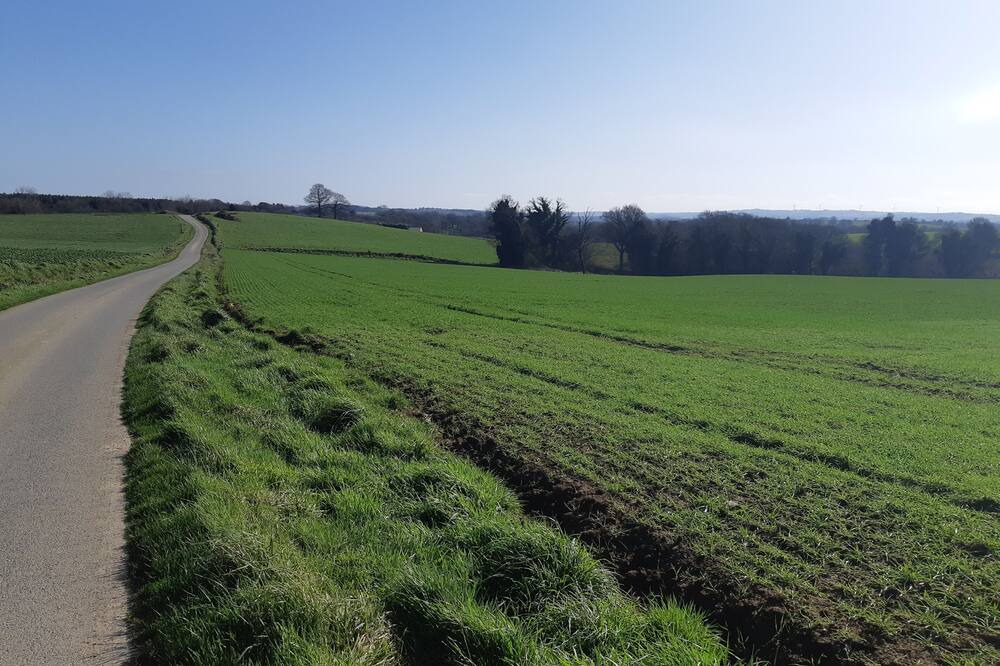 Photo of Outdoor in Saint-Gildas