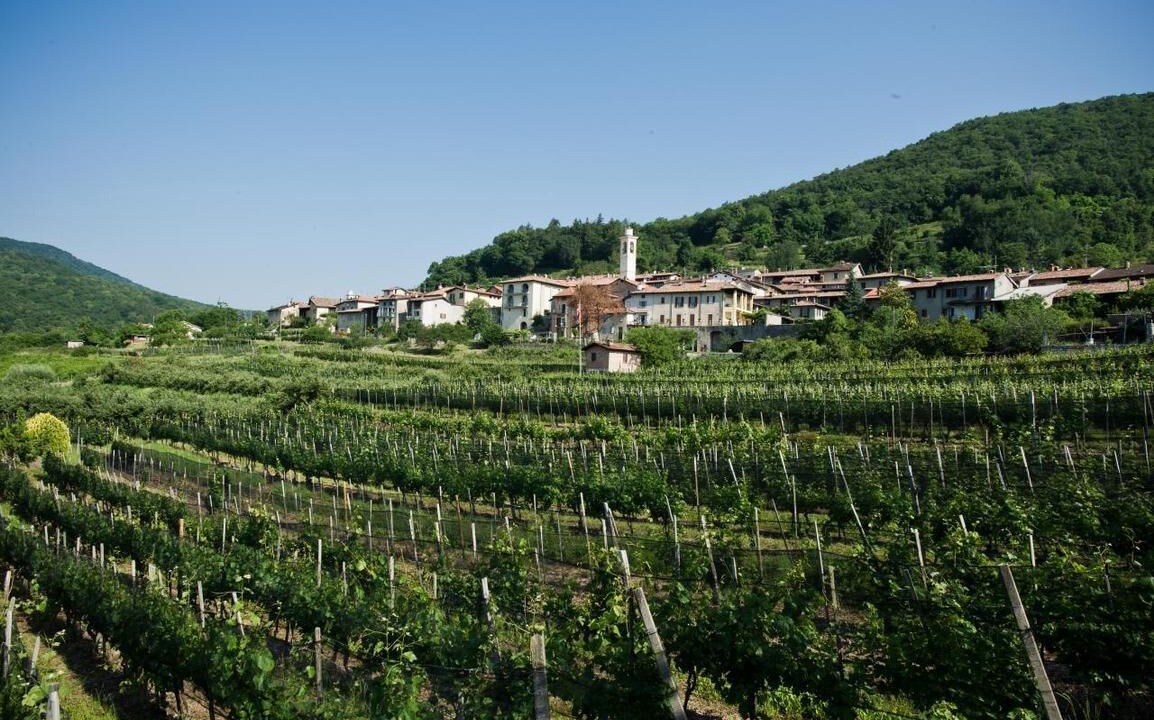 Photo of Outdoor in Meride