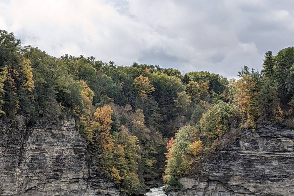 Photo of Others in Rochester
