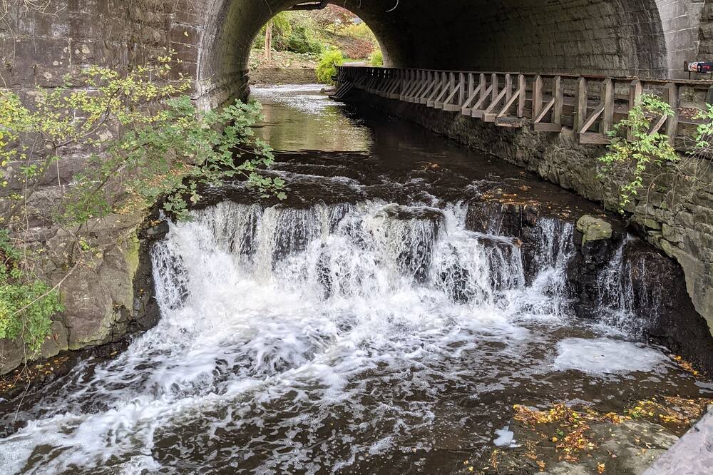 Photo of Others in Rochester