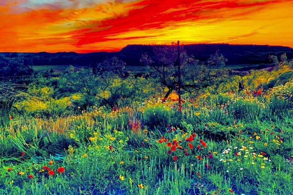 Photo of Outdoor in Slaton