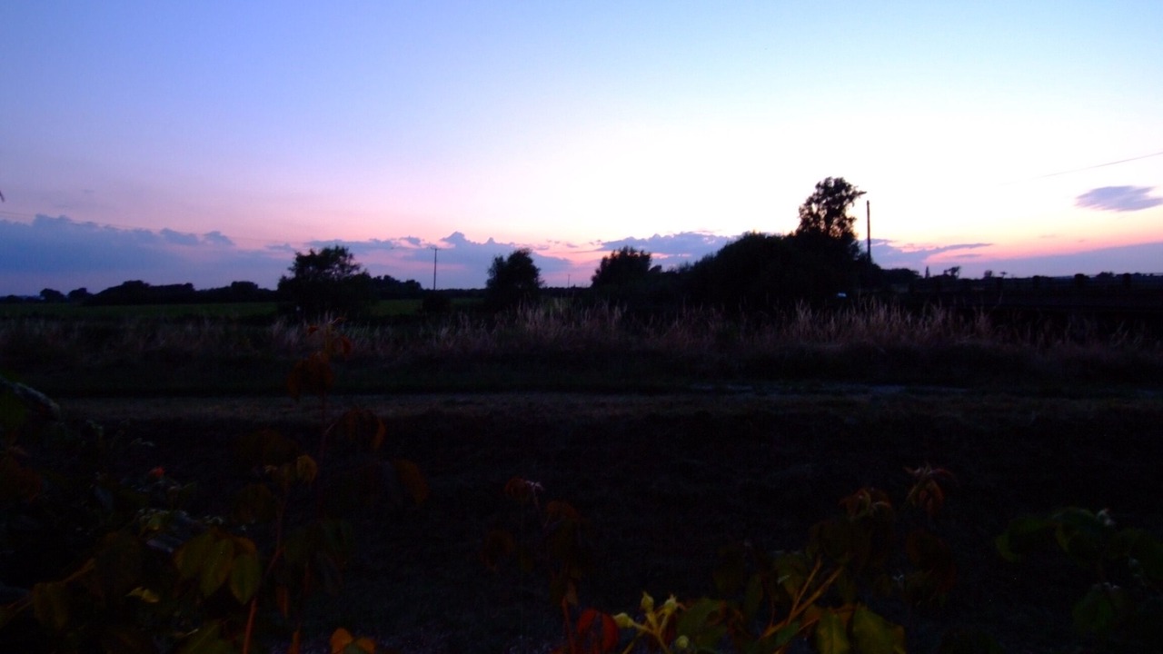 Photo of Others in Ely