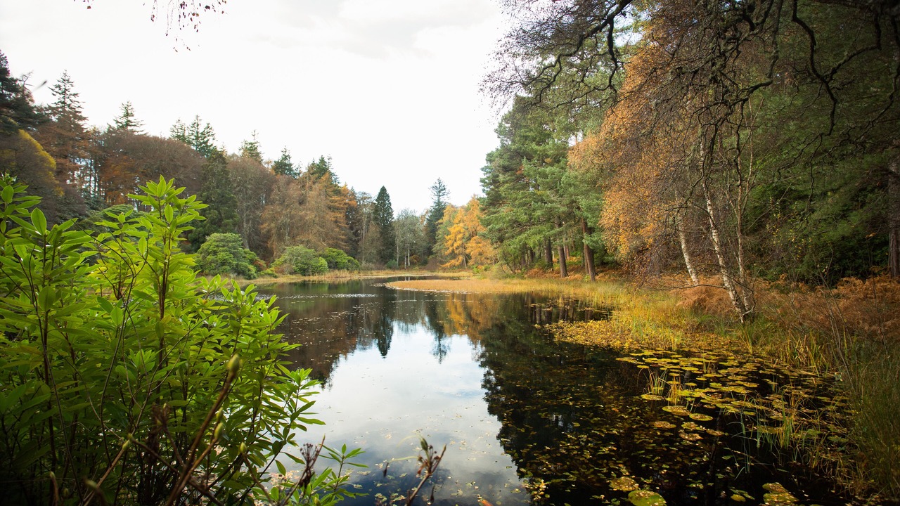 Photo of Others in Elgin