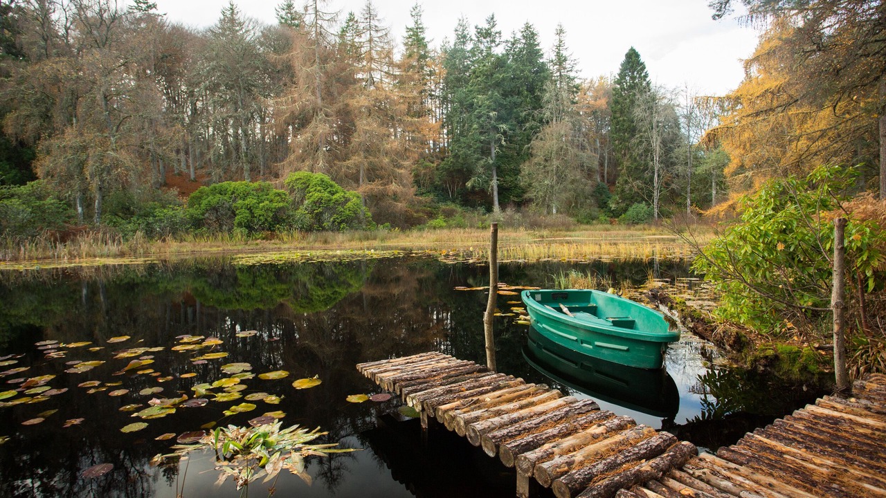 Photo of Others in Elgin