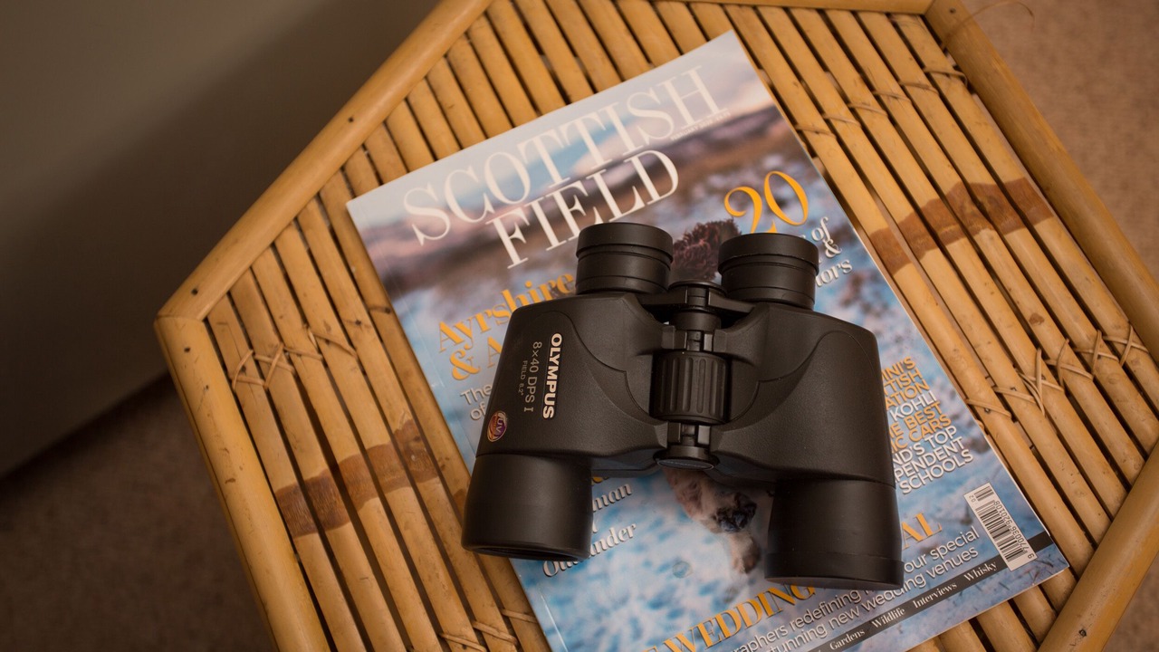 Photo of Others in Elgin