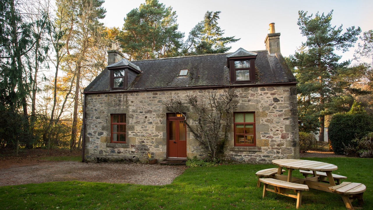 Photo of Others in Elgin