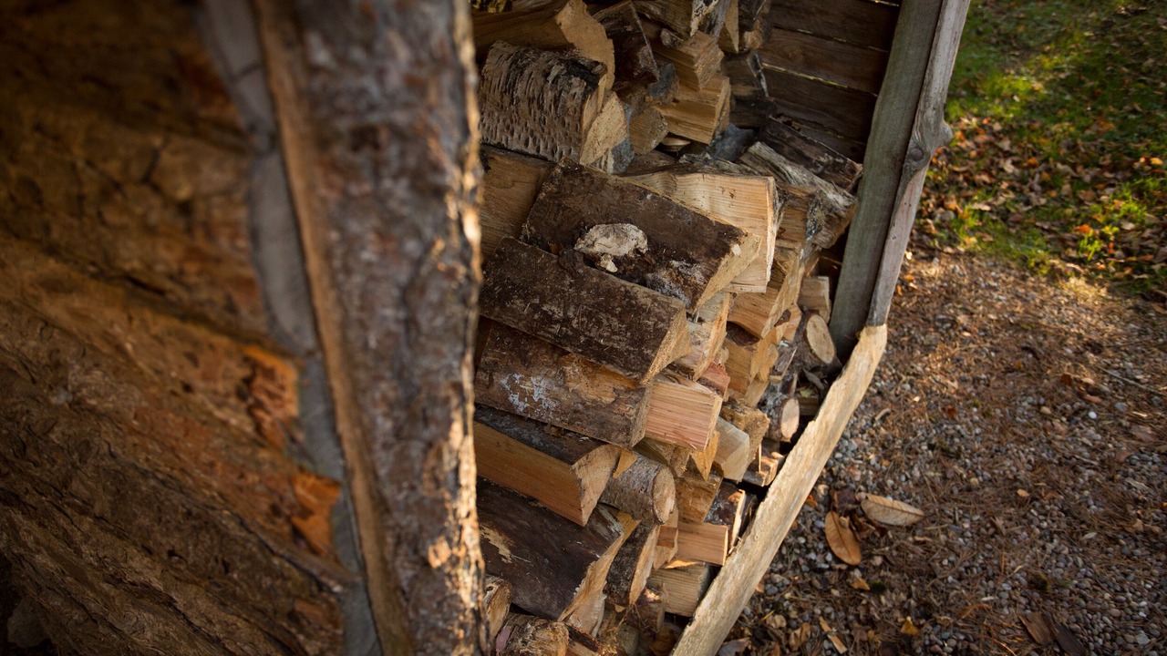 Photo of Others in Elgin