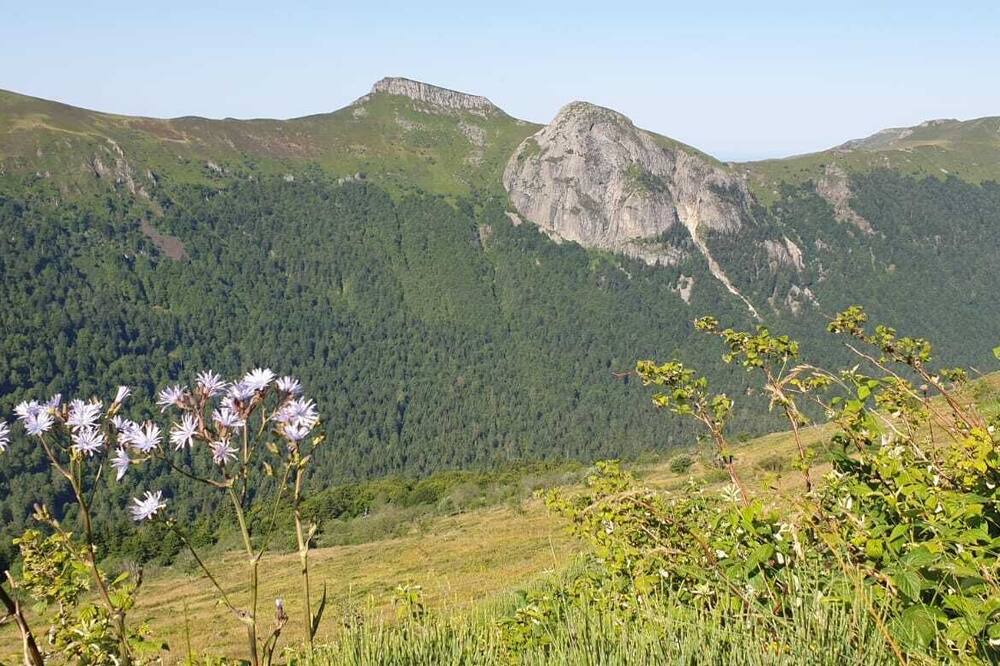 Photo of Outdoor in Vic-sur-Cere