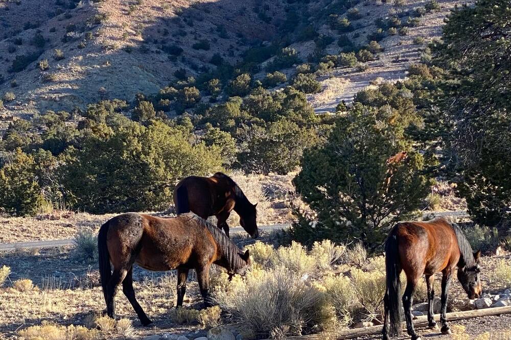 Photo of Outdoor in Placitas