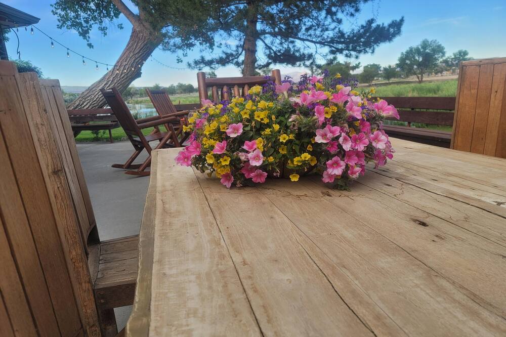 Photo of Patio Balcony in Delta