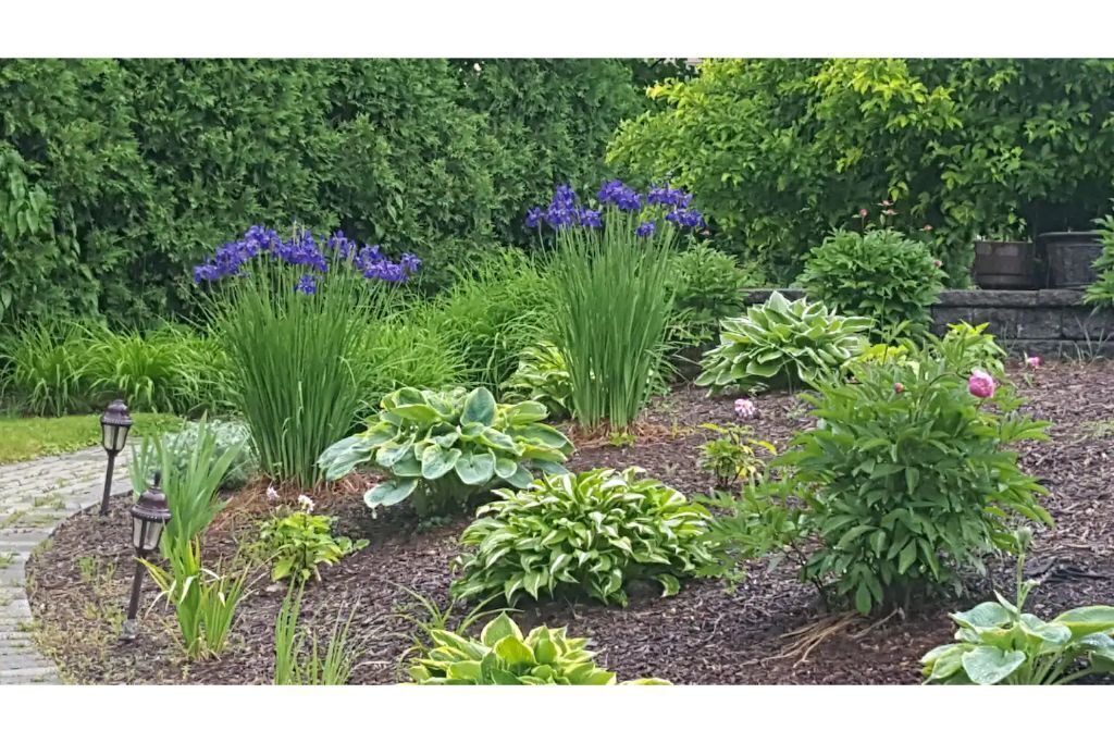 Photo of Outdoor in Skaneateles