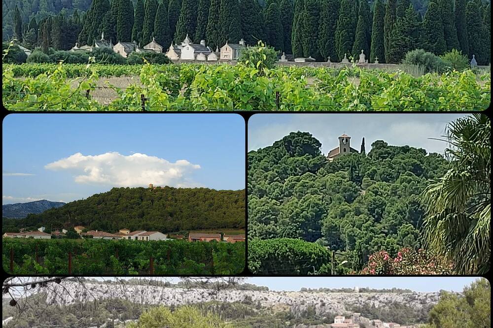 Photo of Outdoor in Roquefort-des-Corbieres