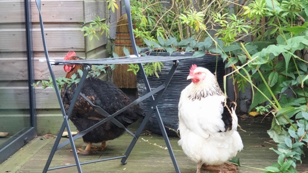 Photo of Outdoor in Vigny