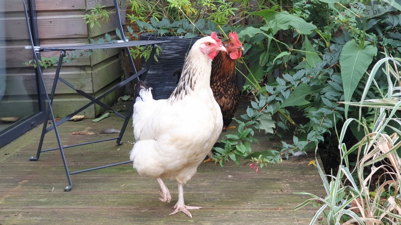 Photo of Outdoor in Vigny