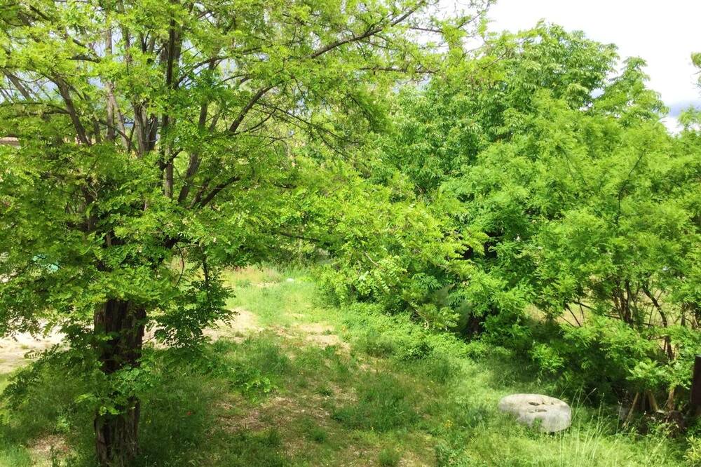 Photo of Outdoor in Brissac