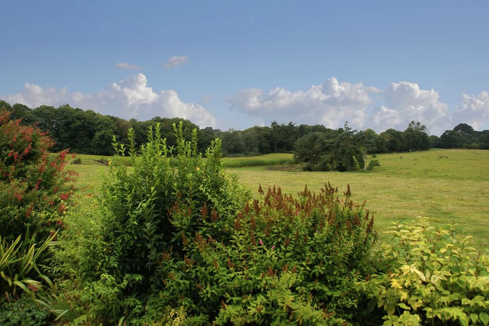 Photo of Others in Plouigneau