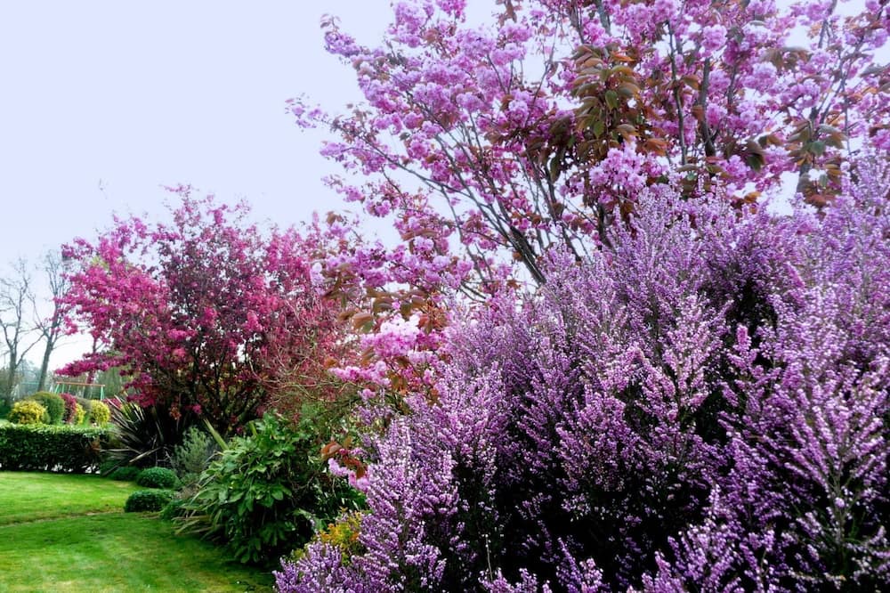 Photo of Outdoor in Plouigneau