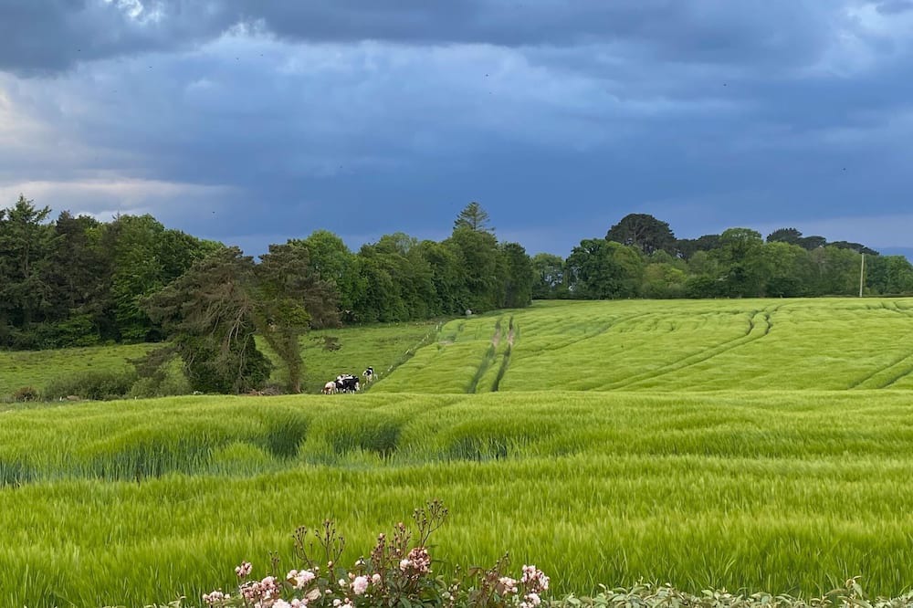 Photo of Others in Plouigneau