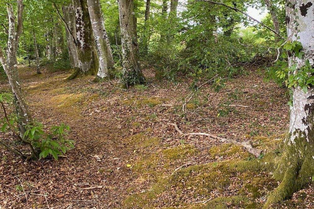 Photo of Others in Plouigneau