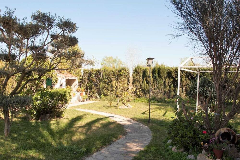 Photo of Outdoor in Sant Jaume d'Enveja
