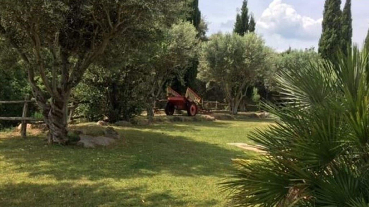 Photo of Outdoor in Romanya de la Selva