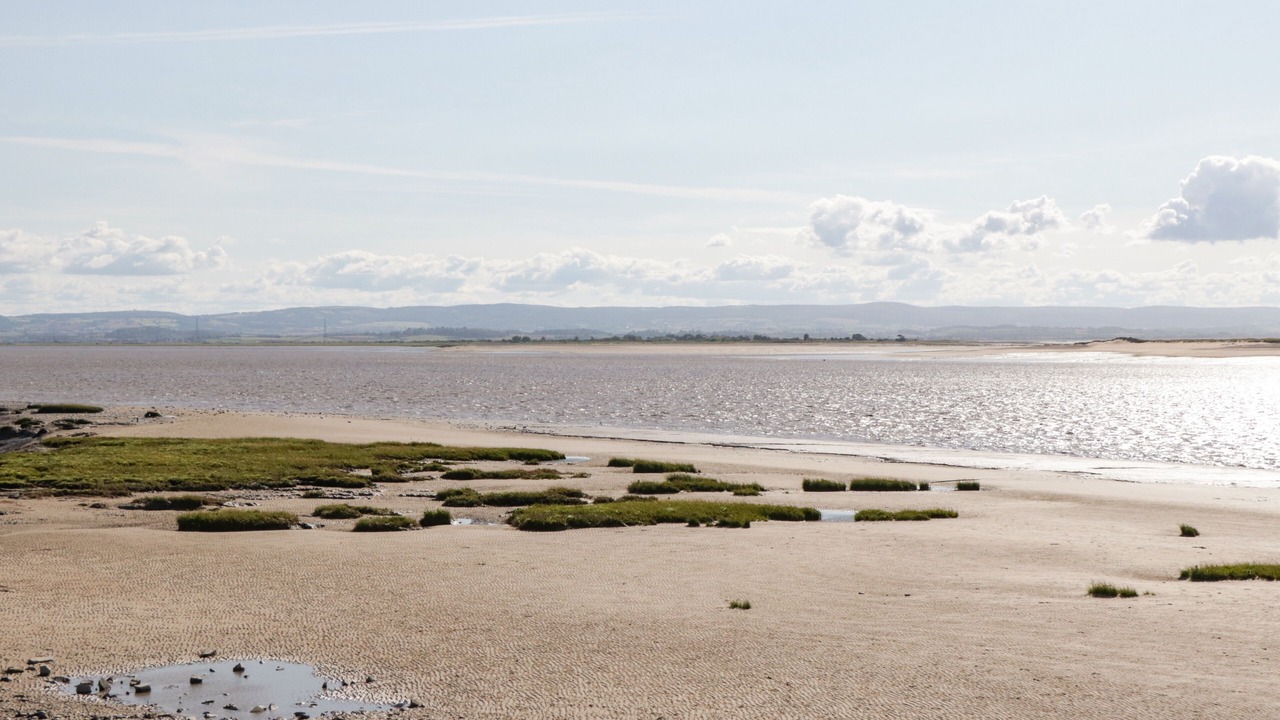 Photo of Others in Burnham-on-Sea