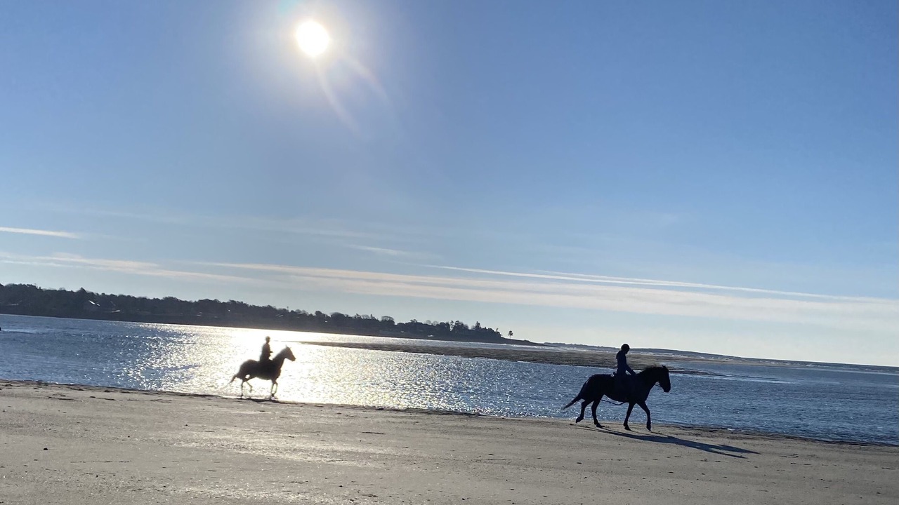 Photo of Others in Pine Point
